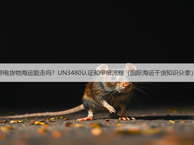 带电货物海运能走吗？UN3480认证和申报流程（国际海运干货知识分享）(图1)