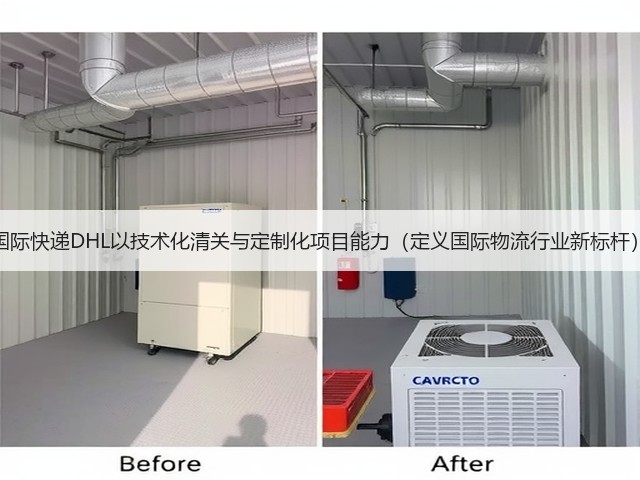 国际快递DHL以技术化清关与定制化项目能力(定义国际物流行业新标杆)(图2) 国际快递DHL以技术化清关与定制化项目能力(定义国际物流行业新标杆)(图2)