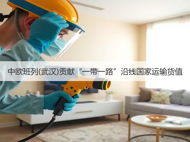 中欧班列(武汉)贡献“一带一路”沿线国家运输货值(图3)