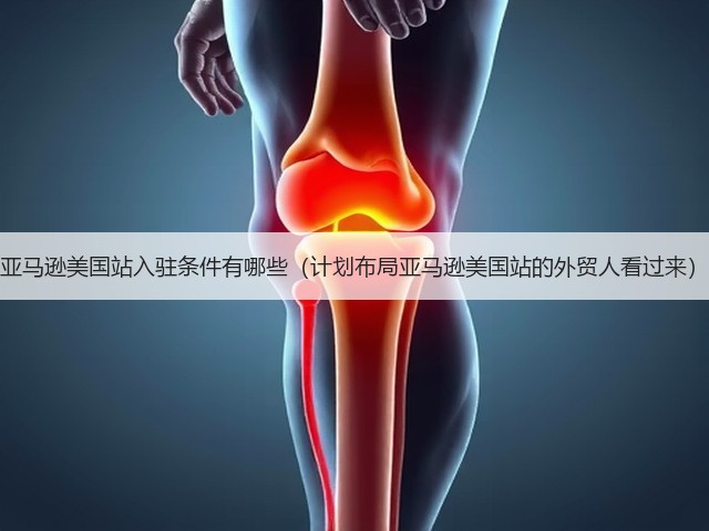 亚马逊美国站入驻条件有哪些(计划布局亚马逊美国站的外贸人看过来)(图1) 亚马逊美国站入驻条件有哪些(计划布局亚马逊美国站的外贸人看过来)(图1)