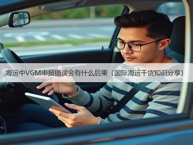 海运中VGM申报错误会有什么后果(国际海运干货知识分享)(图2) 海运中VGM申报错误会有什么后果(国际海运干货知识分享)(图2)
