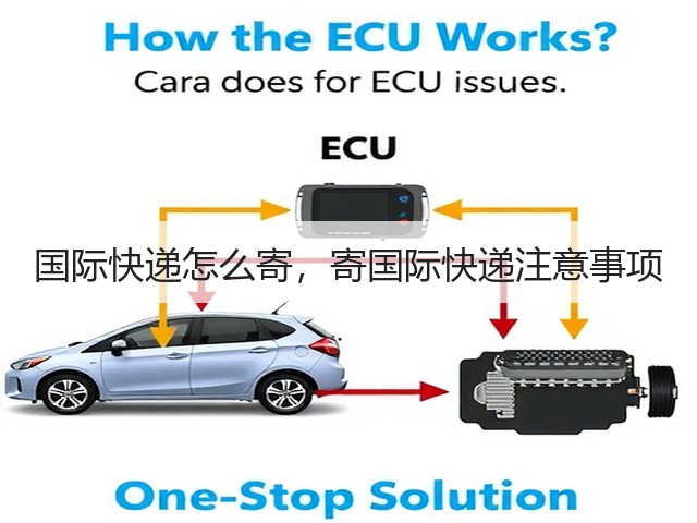 国际快递怎么寄,寄国际快递注意事项(图3) 国际快递怎么寄,寄国际快递注意事项(图3)