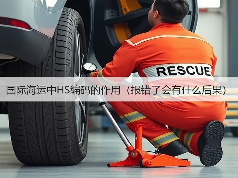 国际海运中HS编码的作用(报错了会有什么后果) 国际海运中HS编码的作用(报错了会有什么后果)