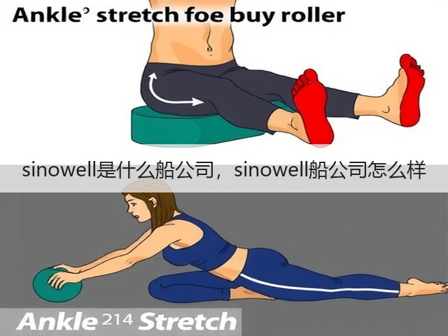 sinowell是什么船公司,sinowell船公司怎么样(图3) sinowell是什么船公司,sinowell船公司怎么样(图3)