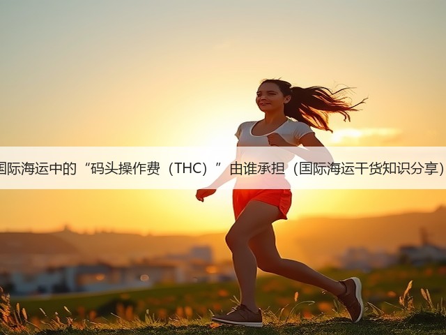 国际海运中的“码头操作费(THC)”由谁承担(国际海运干货知识分享)(图2) 国际海运中的“码头操作费(THC)”由谁承担(国际海运干货知识分享)(图2)