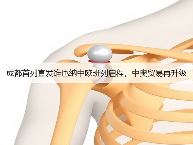 成都首列直发维也纳中欧班列启程,中奥贸易再升级(图3) 成都首列直发维也纳中欧班列启程,中奥贸易再升级(图3)