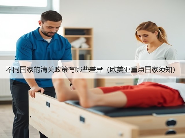 不同国家的清关政策有哪些差异(欧美亚重点国家须知)(图2) 不同国家的清关政策有哪些差异(欧美亚重点国家须知)(图2)