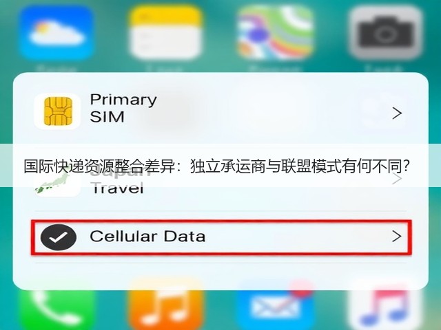国际快递资源整合差异:独立承运商与联盟模式有何不同?(图2) 国际快递资源整合差异:独立承运商与联盟模式有何不同?(图2)