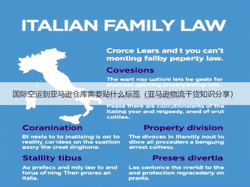 国际空运到亚马逊仓库需要贴什么标签(亚马逊物流干货知识分享) 国际空运到亚马逊仓库需要贴什么标签(亚马逊物流干货知识分享)
