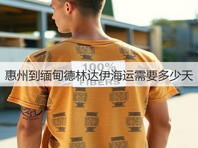 惠州到缅甸德林达伊海运需要多少天(图2) 惠州到缅甸德林达伊海运需要多少天(图2)