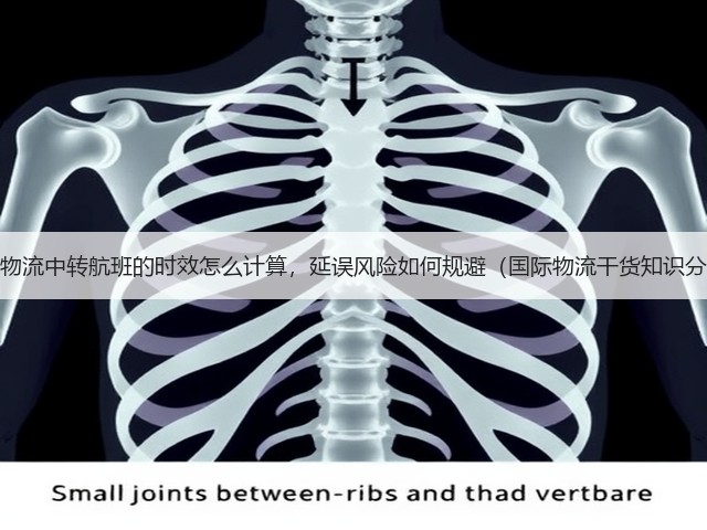 跨境物流中转航班的时效怎么计算,延误风险如何规避(国际物流干货知识分享)(图2) 跨境物流中转航班的时效怎么计算,延误风险如何规避(国际物流干货知识分享)(图2)