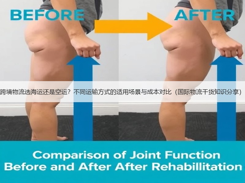 跨境物流选海运还是空运?不同运输方式的适用场景与成本对比(国际物流干货知识分享) 跨境物流选海运还是空运?不同运输方式的适用场景与成本对比(国际物流干货知识分享)