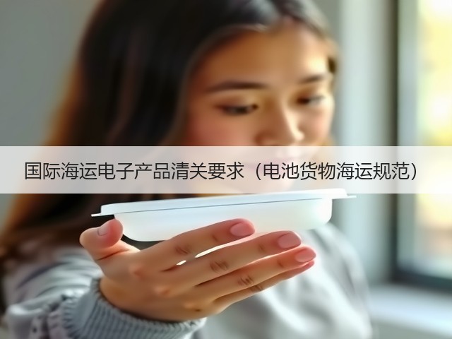 国际海运电子产品清关要求(电池货物海运规范)(图3) 国际海运电子产品清关要求(电池货物海运规范)(图3)