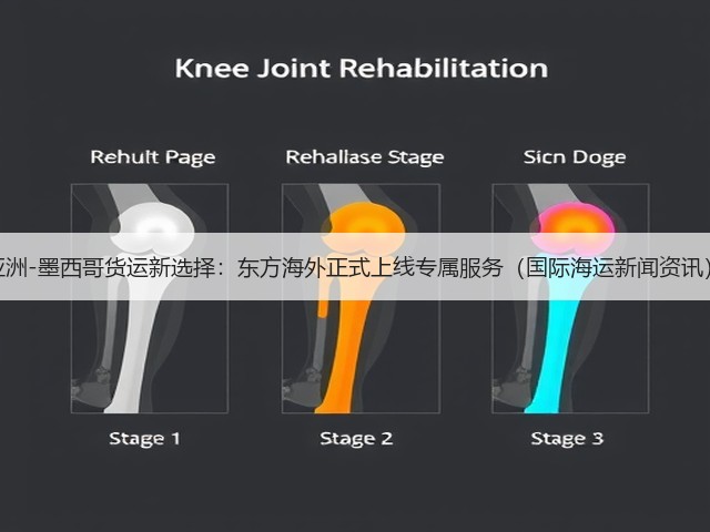 亚洲-墨西哥货运新选择:东方海外正式上线专属服务(国际海运新闻资讯)(图2) 亚洲-墨西哥货运新选择:东方海外正式上线专属服务(国际海运新闻资讯)(图2)