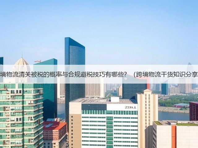 跨境物流清关被税的概率与合规避税技巧有哪些？（跨境物流干货知识分享）(图2)