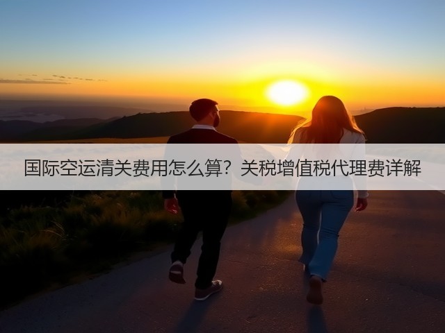 国际空运清关费用怎么算？关税增值税代理费详解(图2)