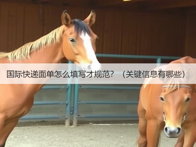 国际快递面单怎么填写才规范?(关键信息有哪些)(图1) 国际快递面单怎么填写才规范?(关键信息有哪些)(图1)