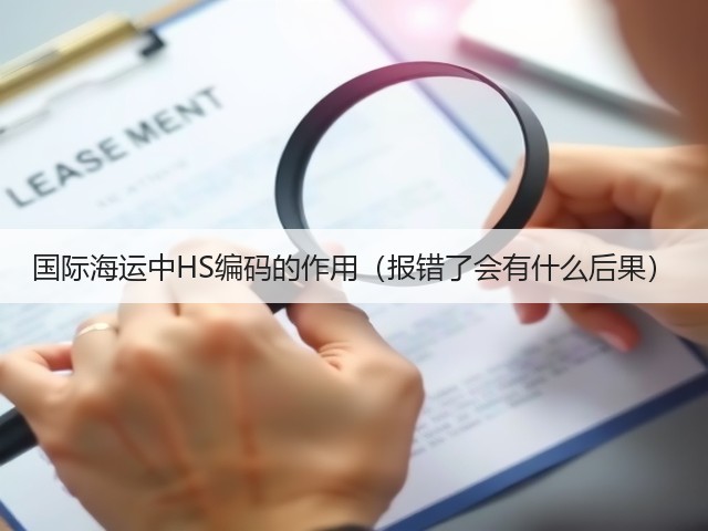 国际海运中HS编码的作用（报错了会有什么后果）(图2)