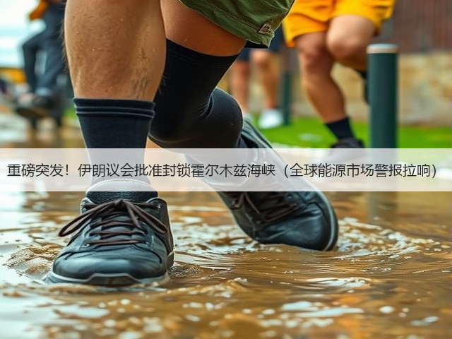 重磅突发！伊朗议会批准封锁霍尔木兹海峡（全球能源市场警报拉响）(图1)