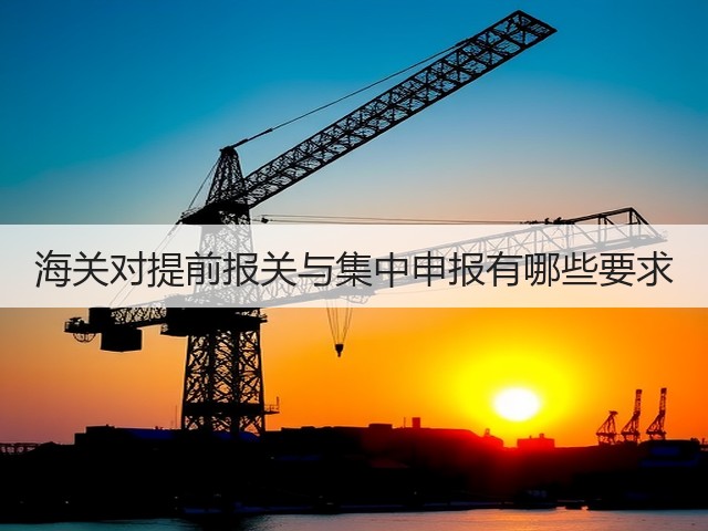 海关对提前报关与集中申报有哪些要求(图1) 海关对提前报关与集中申报有哪些要求(图1)