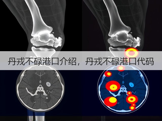 丹戎不碌港口介绍,丹戎不碌港口代码(图1) 丹戎不碌港口介绍,丹戎不碌港口代码(图1)