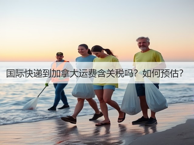 国际快递到加拿大运费含关税吗?如何预估?(图3) 国际快递到加拿大运费含关税吗?如何预估?(图3)
