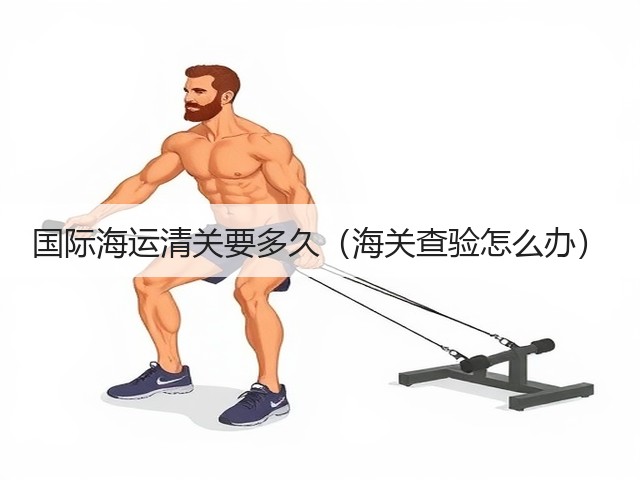 国际海运清关要多久(海关查验怎么办)(图3) 国际海运清关要多久(海关查验怎么办)(图3)