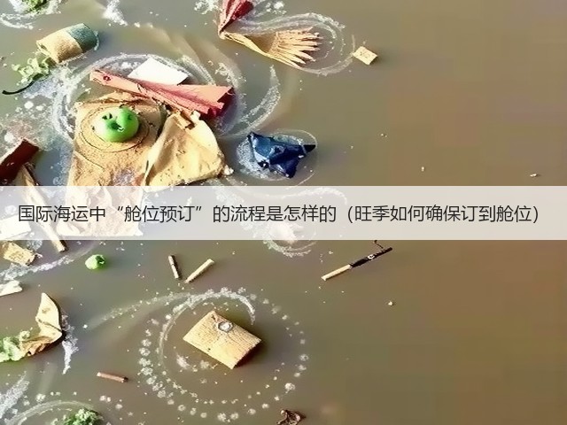 国际海运中“舱位预订”的流程是怎样的(旺季如何确保订到舱位)(图3) 国际海运中“舱位预订”的流程是怎样的(旺季如何确保订到舱位)(图3)