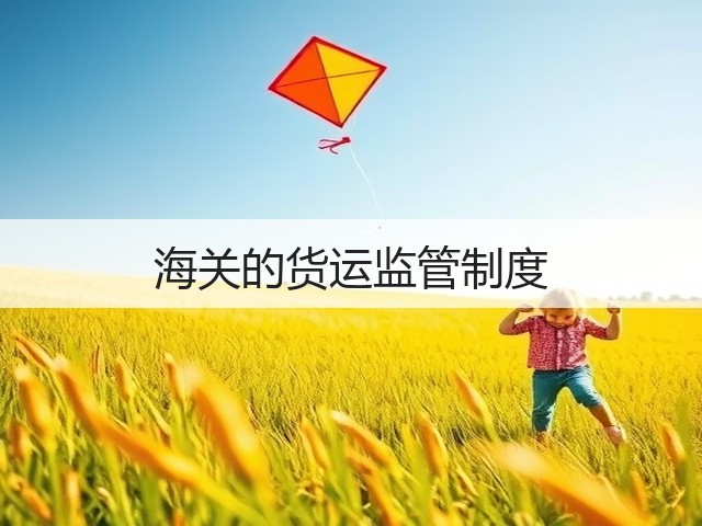 海关的货运监管制度(图3) 海关的货运监管制度(图3)